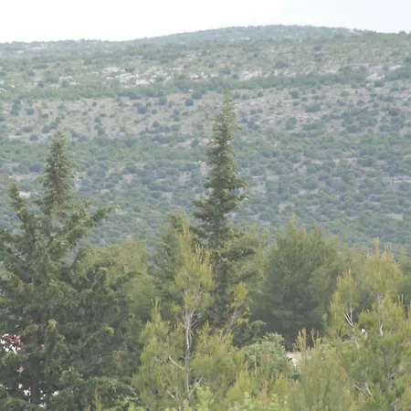 Appartement Plahuter 1 *