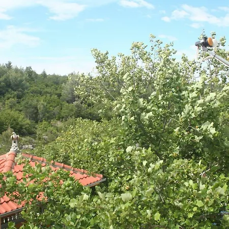 Plahuter 1 Apartmán *