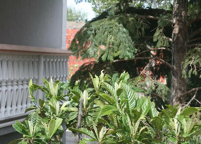 Apartmán Plahuter 1
